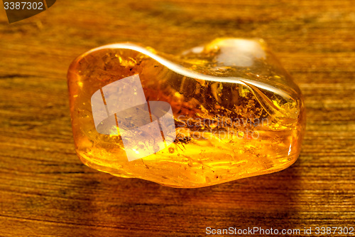 Image of Amber with embedded insect