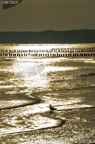 Image of Baltic Sea in Poland, beach of Ustka during sunrise