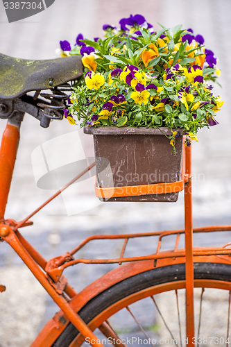 Image of bicycle with flowers