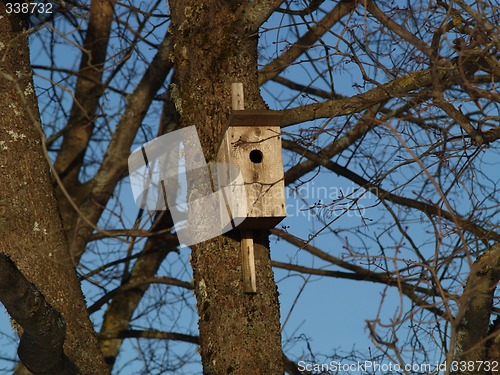 Image of Bird-cage in spring