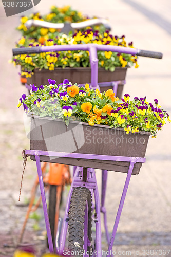 Image of bicycle with flowers