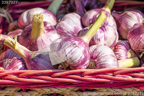 Image of red garlic on a street sale in France