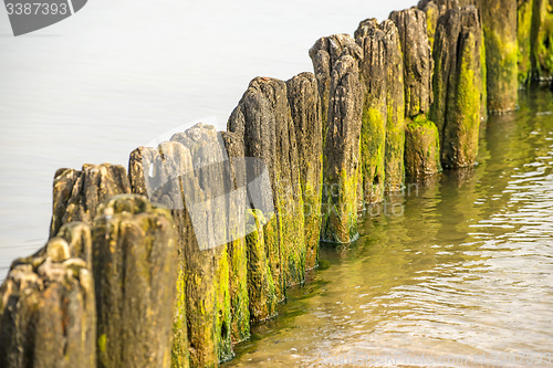 Image of Groin in the Baltic Sea 