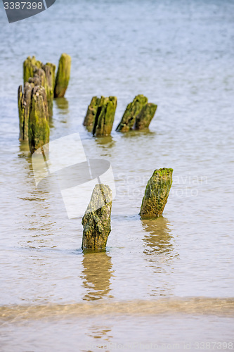 Image of Groins in the Baltic Sea 