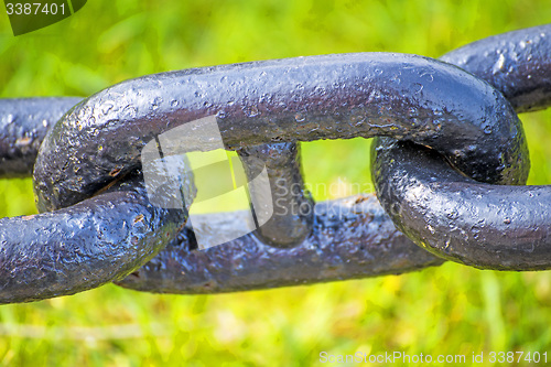 Image of anchor chain in green grass