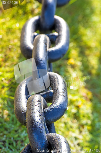 Image of anchor chain in green grass