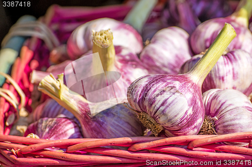 Image of red garlic on a street sale in France