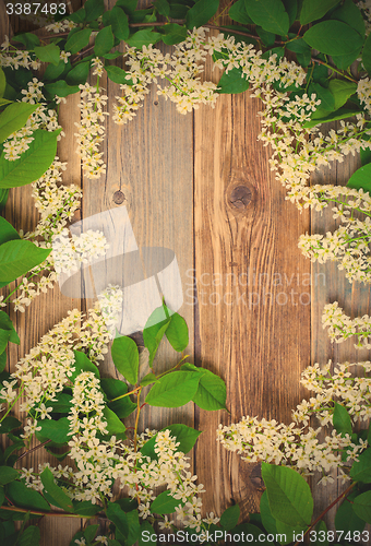 Image of bird cherry branches  on aged boards