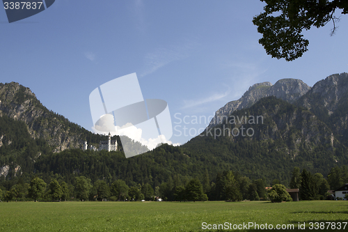 Image of Panorama of castle Neuschwanstein in the Bavarian Alps