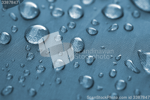 Image of Closeup of rain drops 