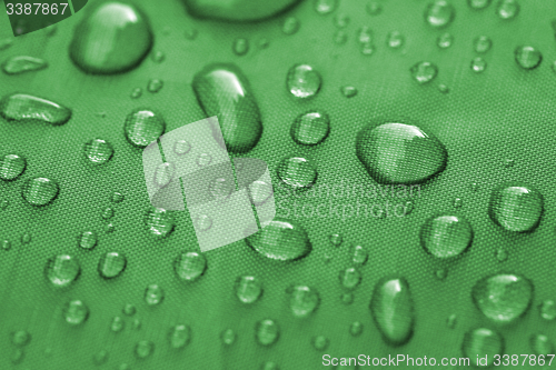 Image of Closeup of rain drops