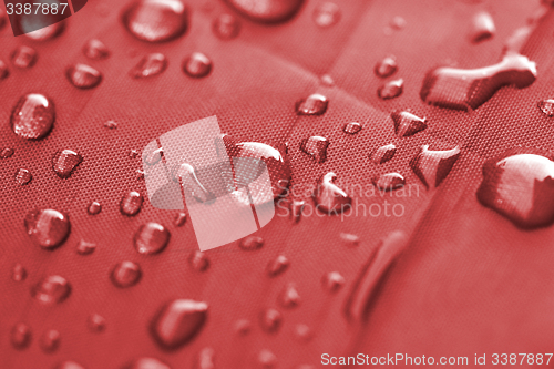 Image of Closeup of rain drops