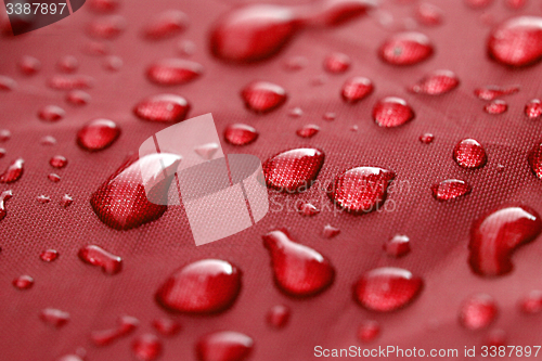 Image of Closeup of rain drops 