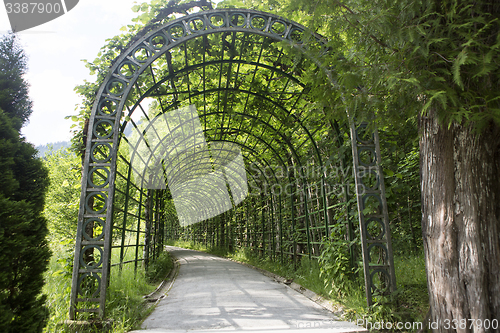 Image of Alley of castle park Linderhof, Bavaria