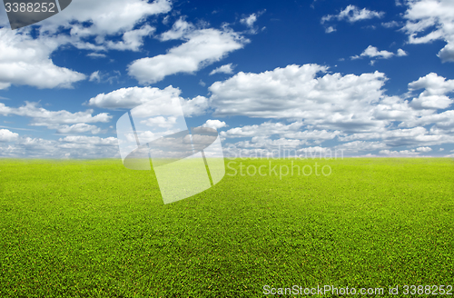 Image of Green field and sky