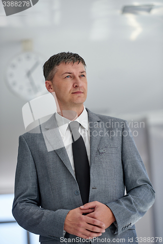 Image of business man portrait