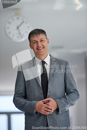 Image of business man portrait