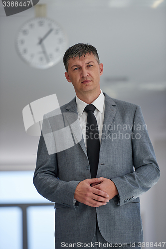 Image of business man portrait