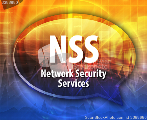 Image of NSS acronym definition speech bubble illustration
