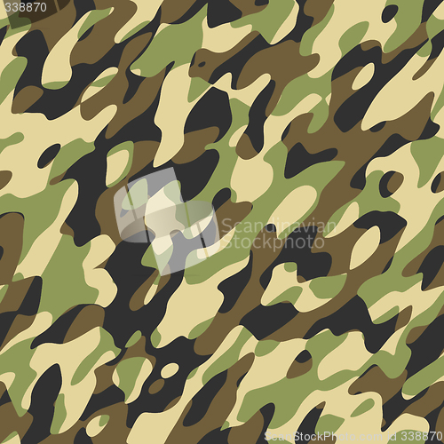 Image of camouflage