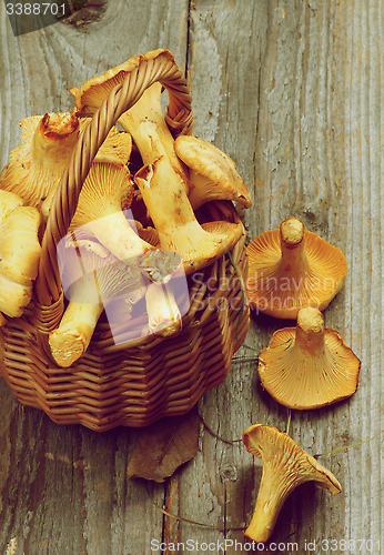 Image of Raw Chanterelles