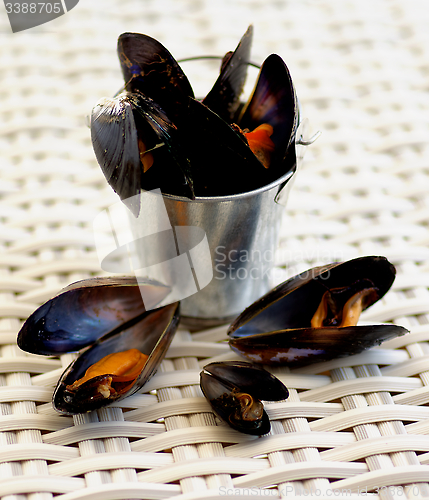 Image of Mussels