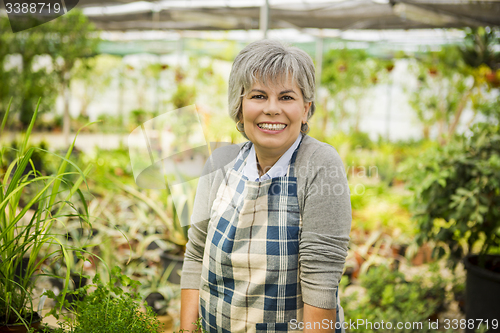 Image of A day in a green house