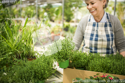 Image of Choosing fresh herbs