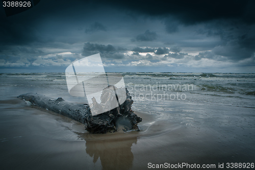 Image of water log