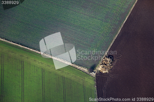 Image of Fields and Meadows