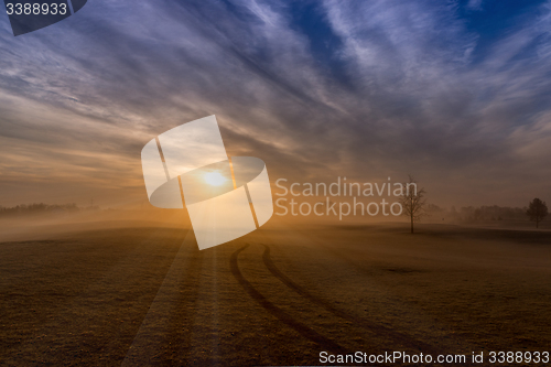 Image of Morning Fog