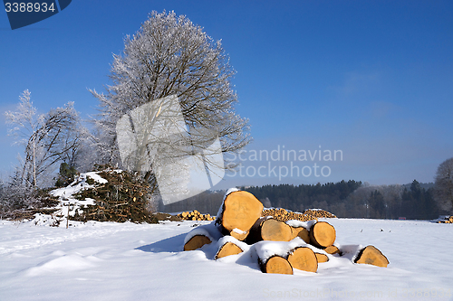 Image of Round Wood