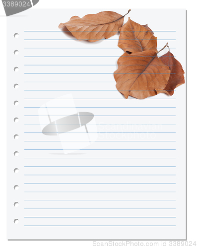 Image of Notebook paper with autumn virginia creeper leaf