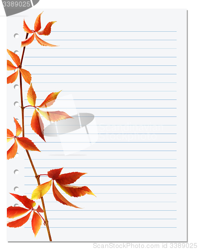 Image of Exercise book with autumnal virginia creeper twig