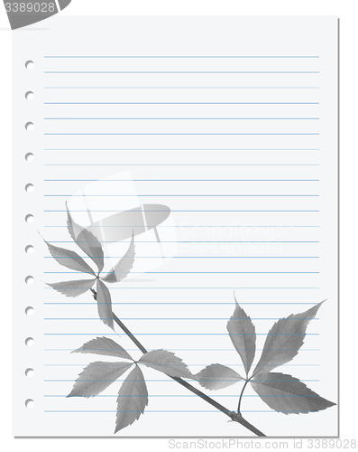 Image of Exercise book with black-white virginia creeper leaf