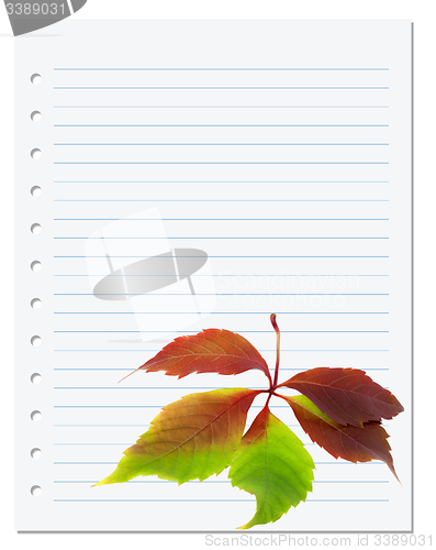 Image of Exercise book with multicolor virginia creeper leaf