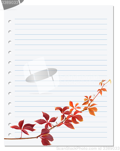 Image of Notebook paper with autumn virginia creeper leaf