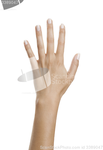 Image of Hand with beautiful nails