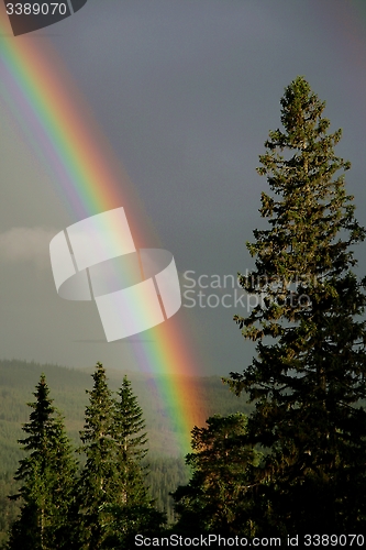 Image of Rainbow