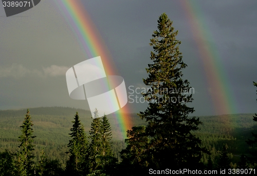 Image of Rainbows
