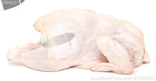 Image of raw chicken