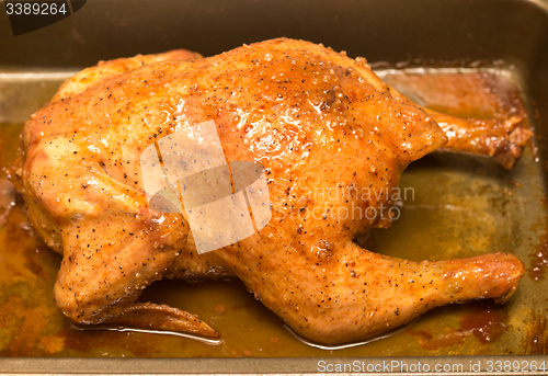 Image of grilled chicken