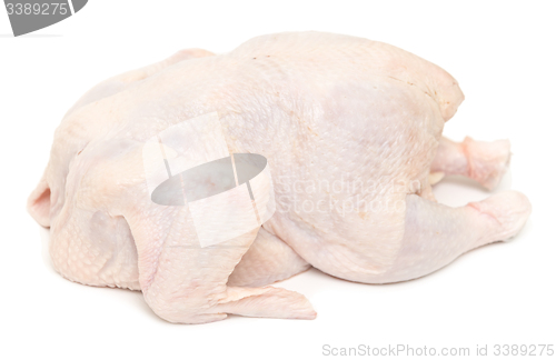 Image of raw hen