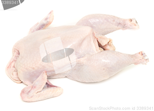 Image of raw chicken