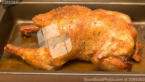 Image of grilled chicken