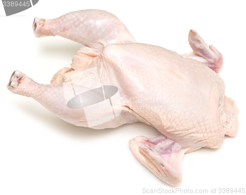 Image of raw chicken