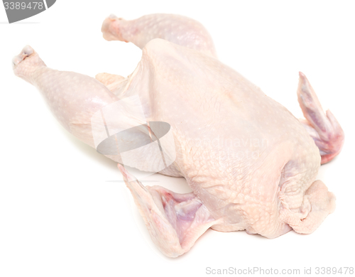 Image of raw chicken