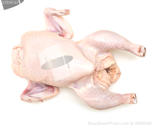 Image of raw chicken