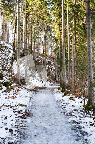 Image of Frozen path