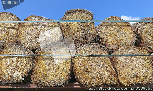 Image of Round Hay Bales